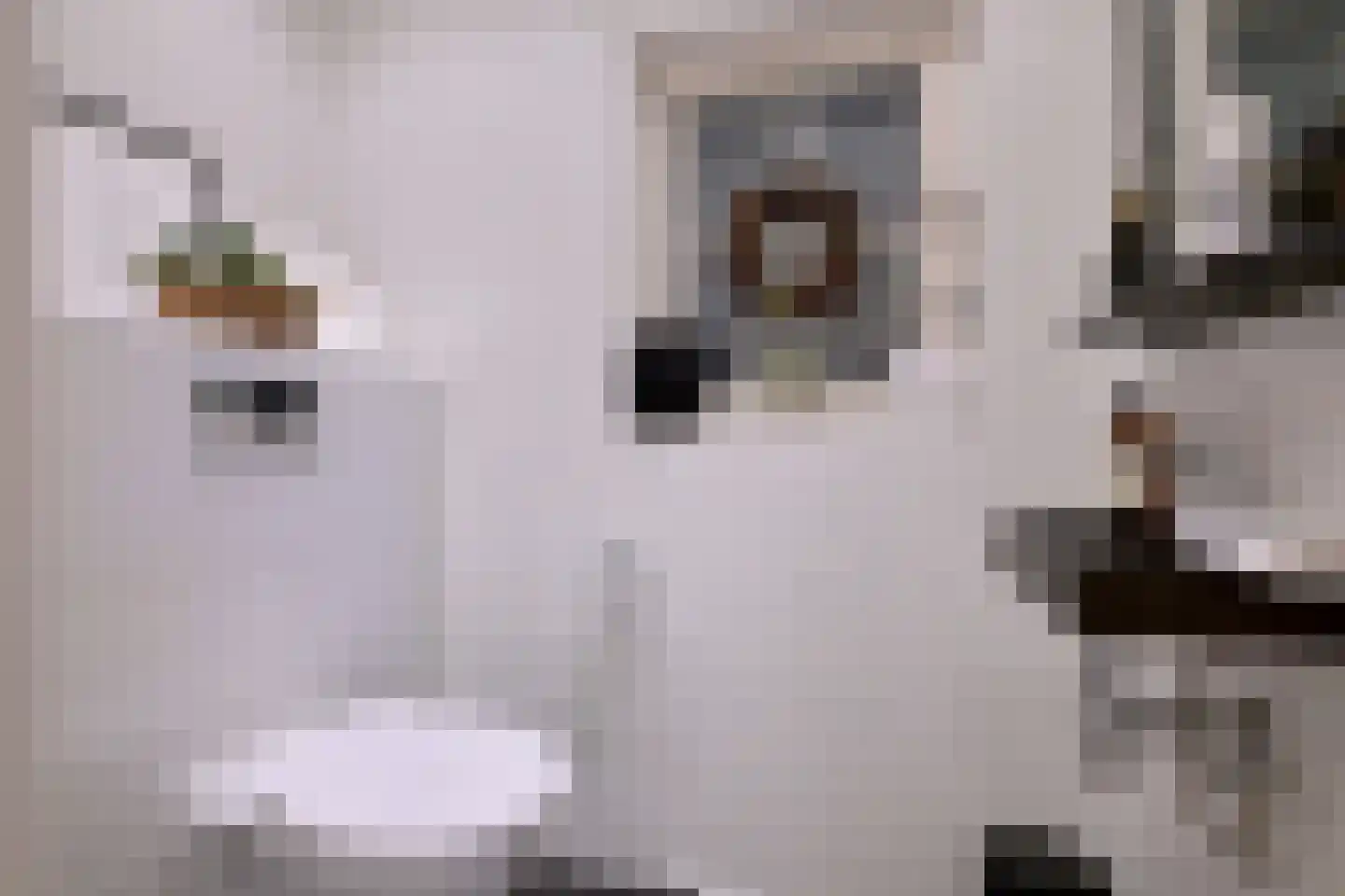 Elfuursweg 27 Gorssel thumbnail 20