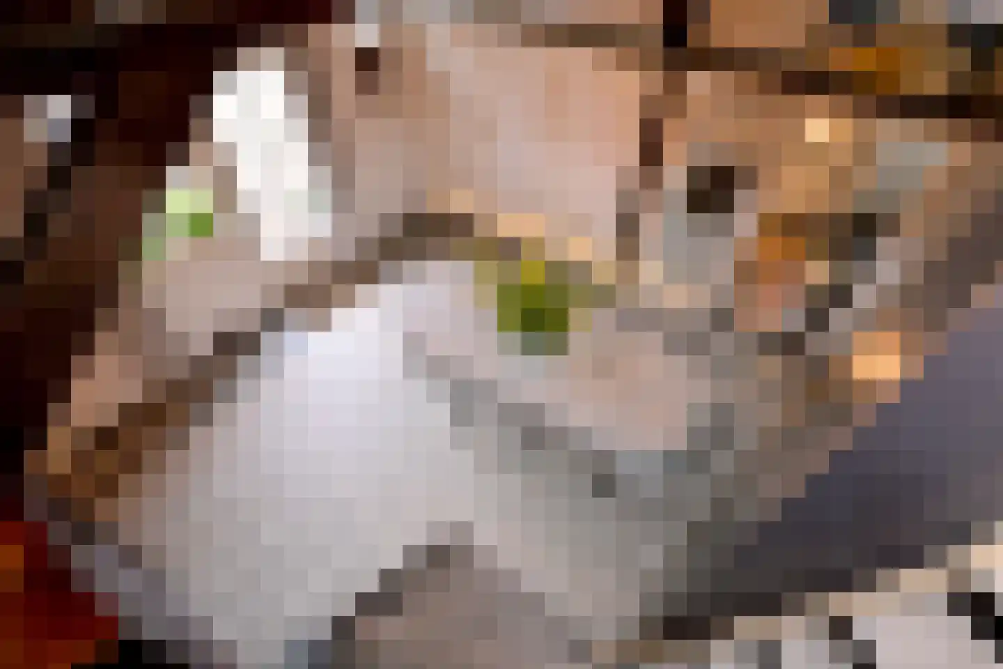 Elfuursweg 27 Gorssel thumbnail 21