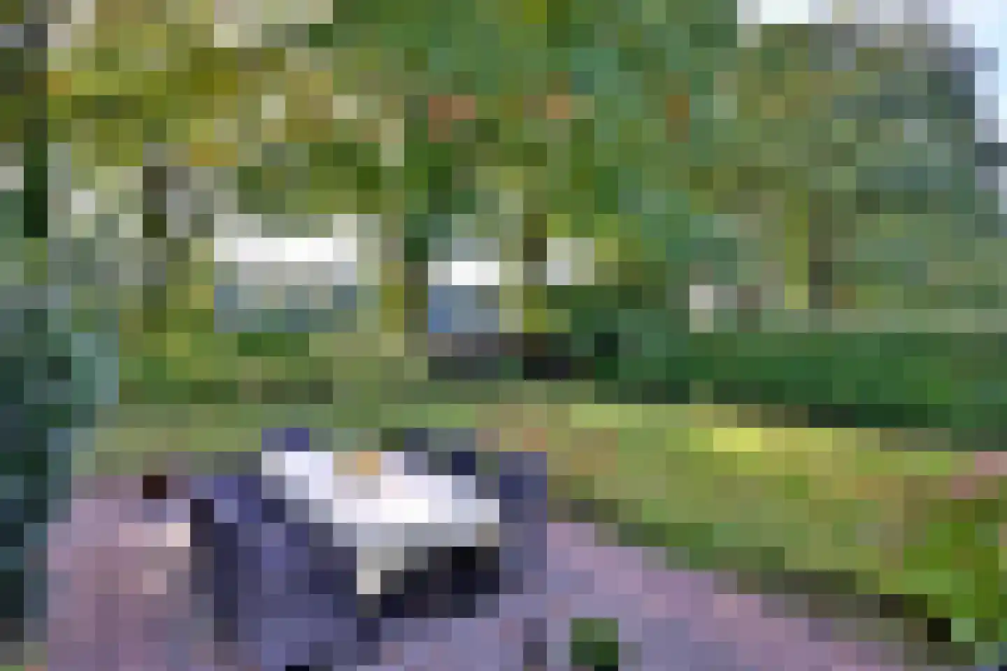 Elfuursweg 27 Gorssel thumbnail 30