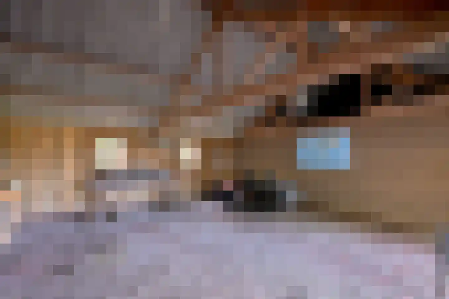 Elfuursweg 27 Gorssel thumbnail 32