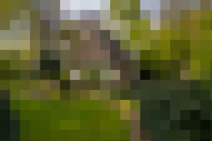Elfuursweg 5 Gorssel