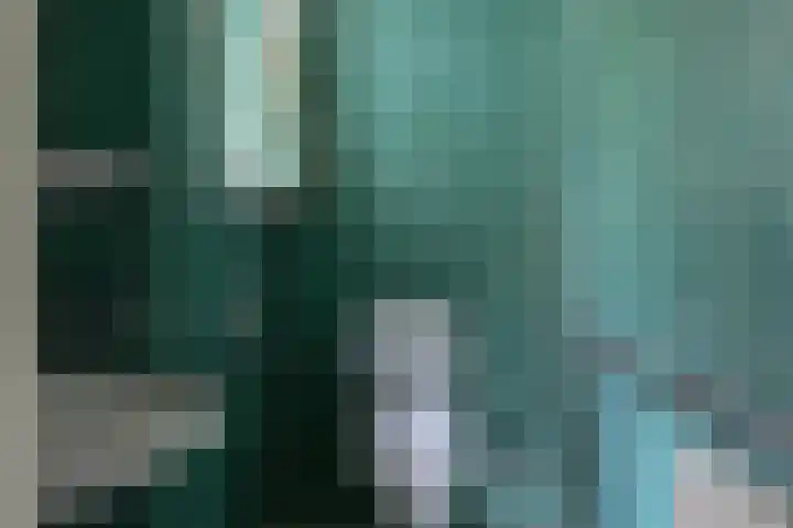 Elfuursweg 5 Gorssel thumbnail 10