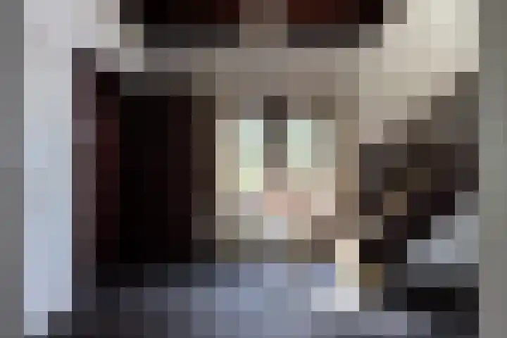 Elfuursweg 5 Gorssel thumbnail 11