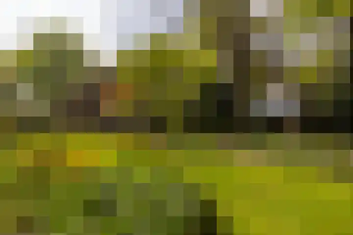 Elfuursweg 5 Gorssel foto 2