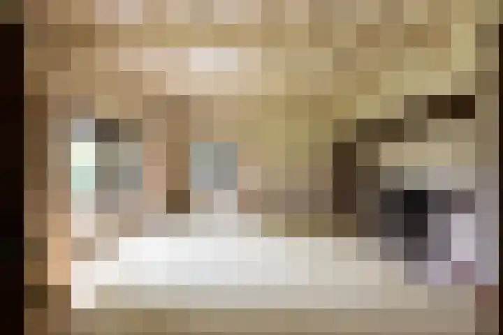Elfuursweg 5 Gorssel foto 3
