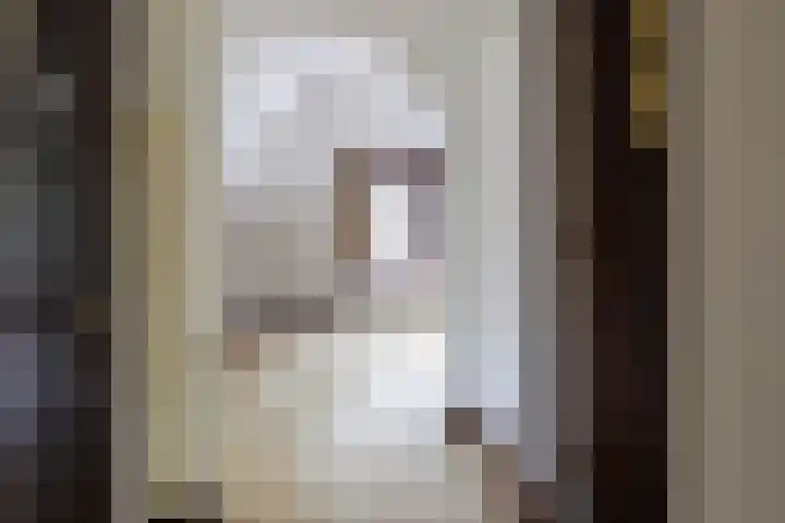 Elfuursweg 5 Gorssel thumbnail 32