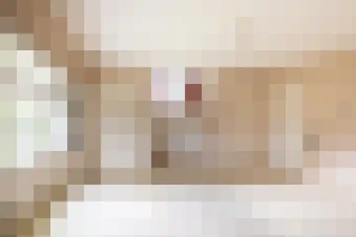 Elfuursweg 5 Gorssel thumbnail 37