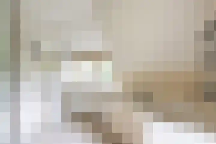 Elfuursweg 5 Gorssel thumbnail 39