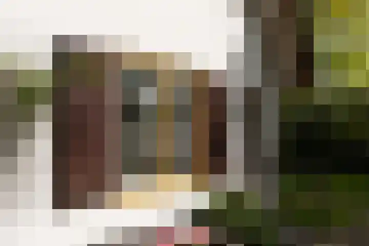 Elfuursweg 5 Gorssel thumbnail 48