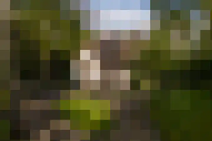 Elfuursweg 5 Gorssel thumbnail 49
