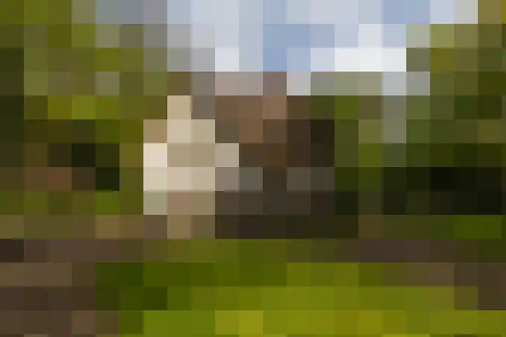 Elfuursweg 5 Gorssel thumbnail 50