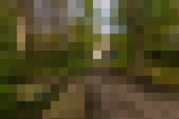 Elfuursweg 5 Gorssel thumbnail 51