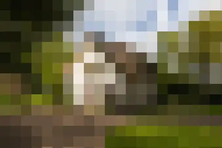 Elfuursweg 5 Gorssel thumbnail 52