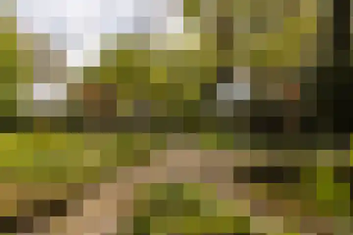 Elfuursweg 5 Gorssel thumbnail 53