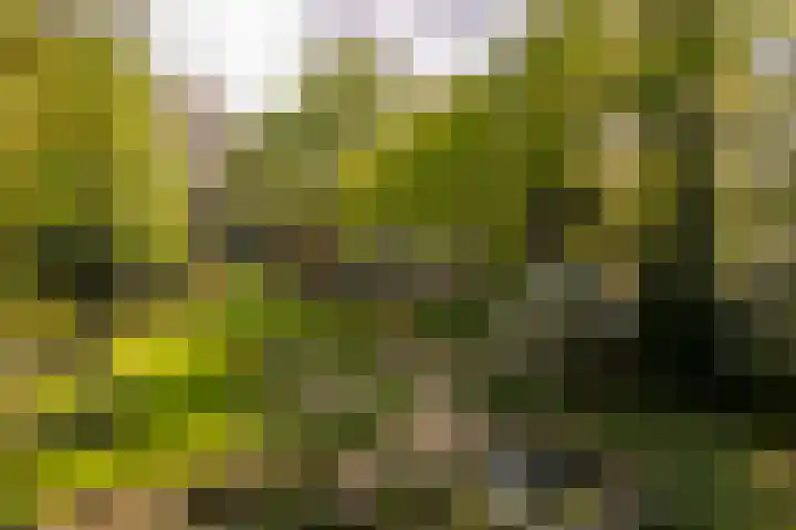 Elfuursweg 5 Gorssel thumbnail 54