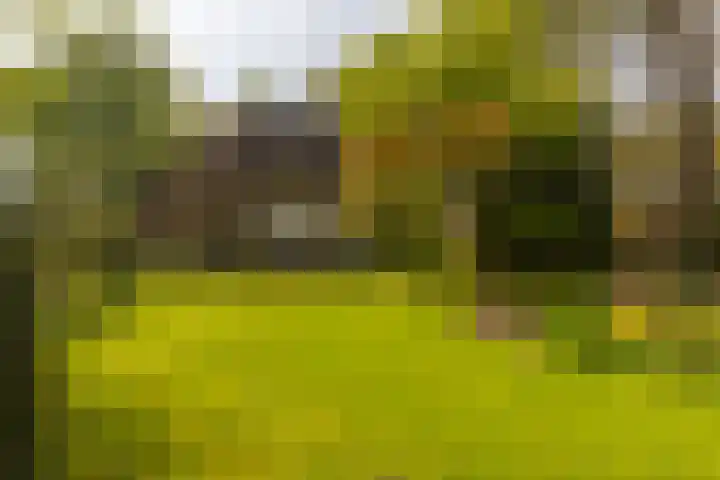 Elfuursweg 5 Gorssel thumbnail 55