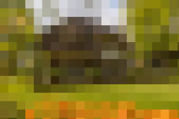 Elfuursweg 5 Gorssel thumbnail 56
