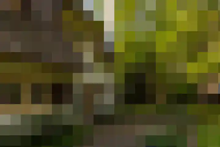 Elfuursweg 5 Gorssel thumbnail 57