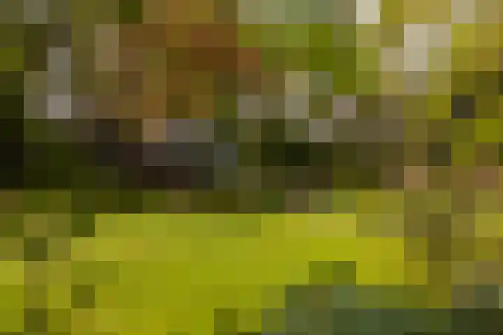 Elfuursweg 5 Gorssel thumbnail 58