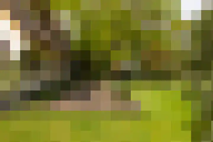 Elfuursweg 5 Gorssel thumbnail 59