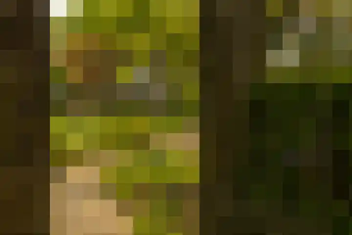 Elfuursweg 5 Gorssel thumbnail 60