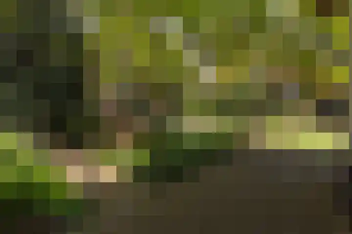 Elfuursweg 5 Gorssel thumbnail 62