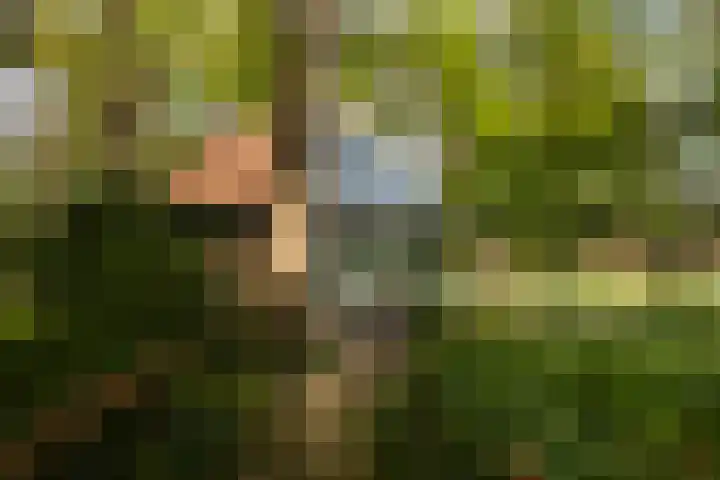Elfuursweg 5 Gorssel thumbnail 63