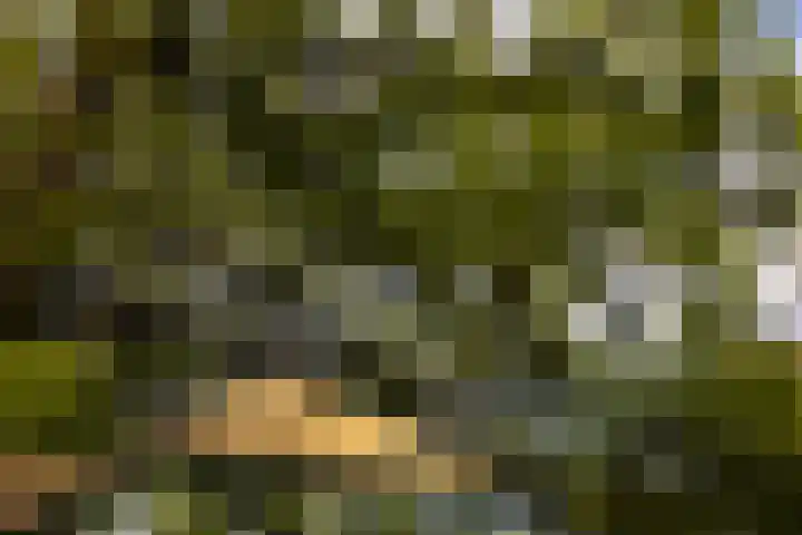 Elfuursweg 5 Gorssel thumbnail 64