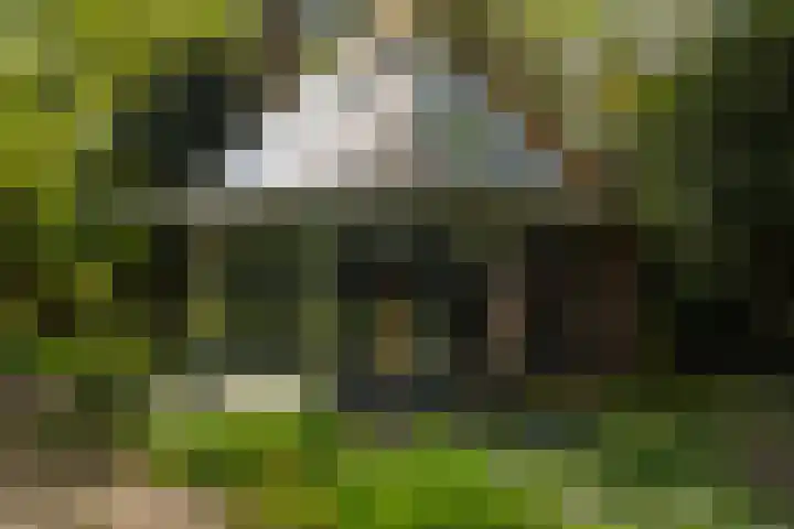 Elfuursweg 5 Gorssel thumbnail 65