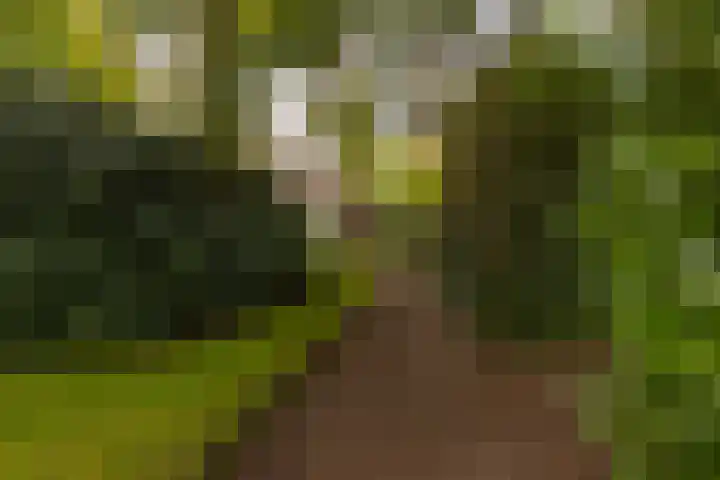 Elfuursweg 5 Gorssel thumbnail 66