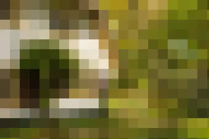 Elfuursweg 5 Gorssel thumbnail 67