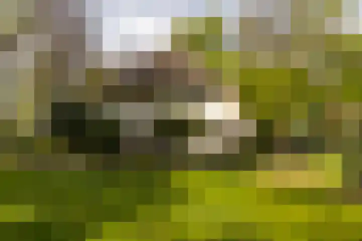 Elfuursweg 5 Gorssel thumbnail 68