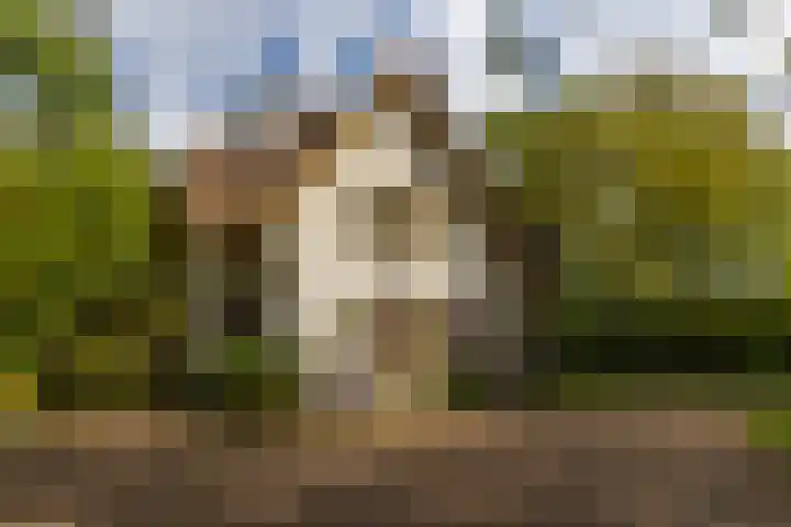 Elfuursweg 5 Gorssel thumbnail 69