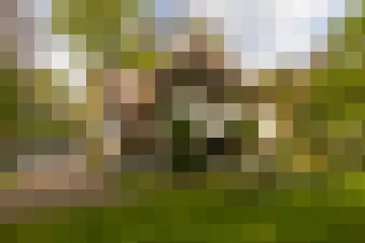 Elfuursweg 5 Gorssel thumbnail 70