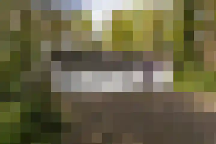 Elfuursweg 5 Gorssel thumbnail 71