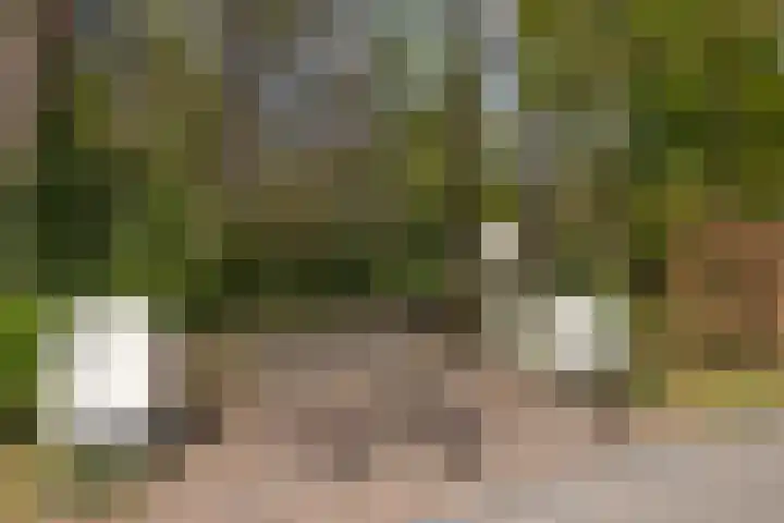 Elfuursweg 5 Gorssel thumbnail 72