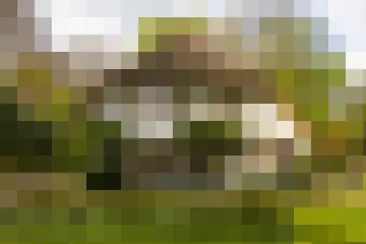 Elfuursweg 5 Gorssel thumbnail 74