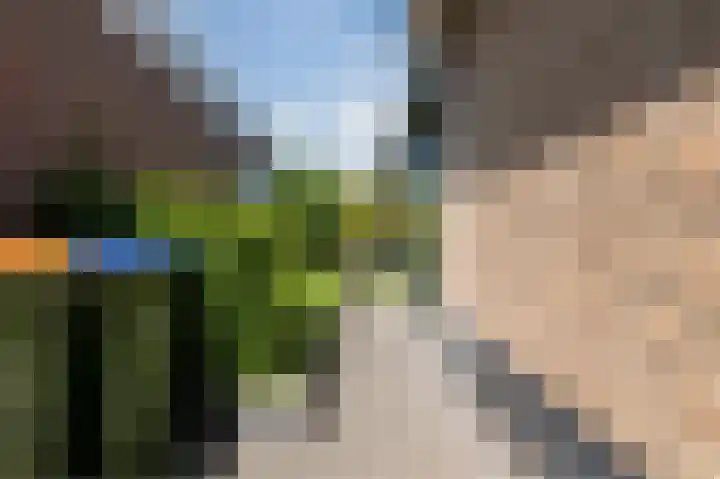 Elgarpad 10 Veenendaal thumbnail 55