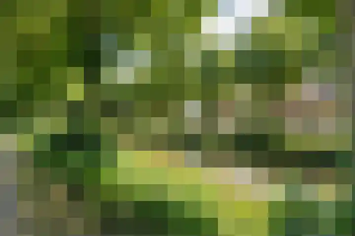 Elgarpad 10 Veenendaal thumbnail 57
