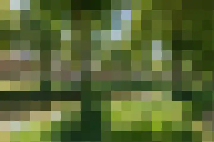 Elgarpad 10 Veenendaal thumbnail 58