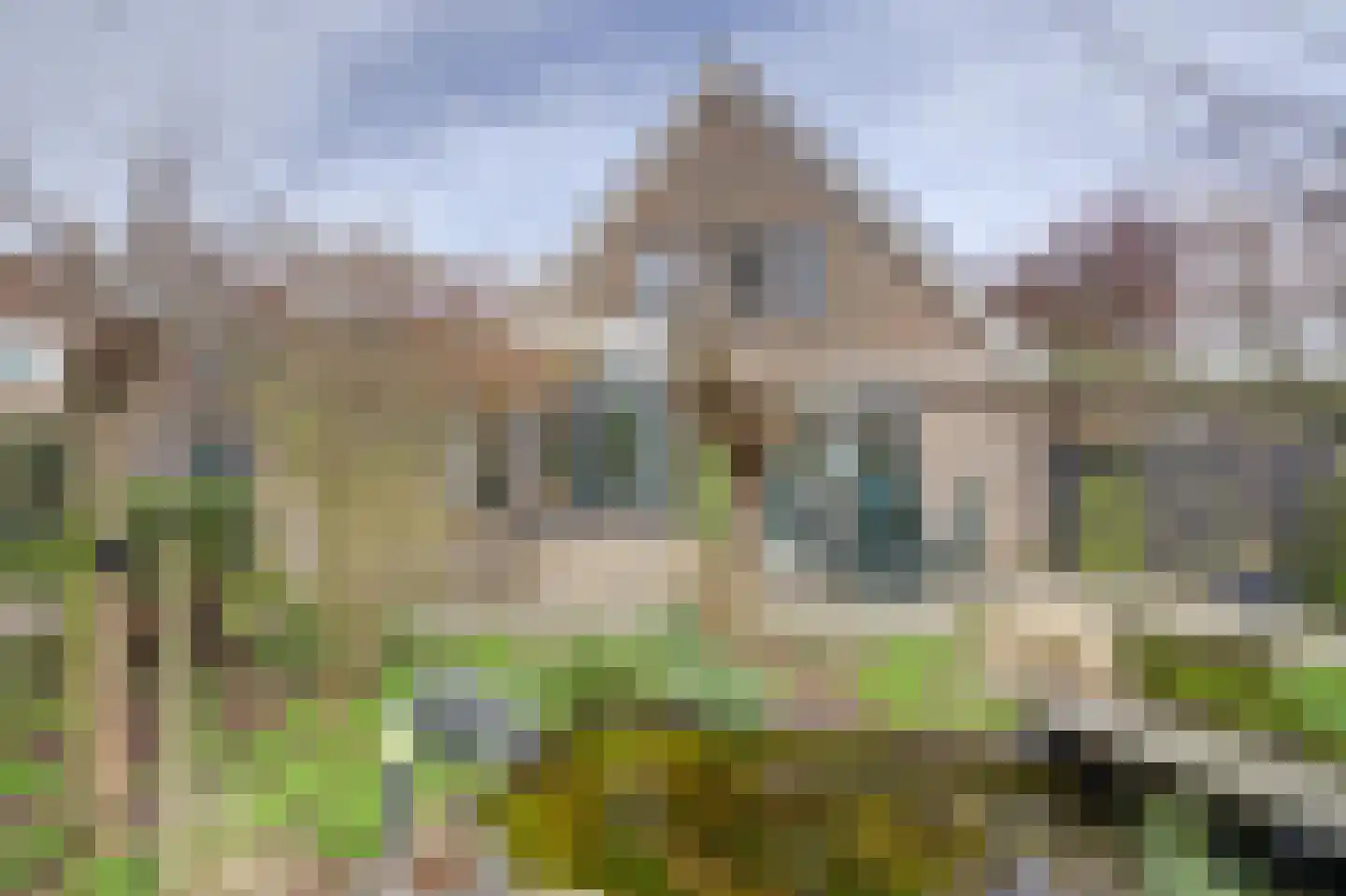 Elgarstraat 26 Zwijndrecht thumbnail 38