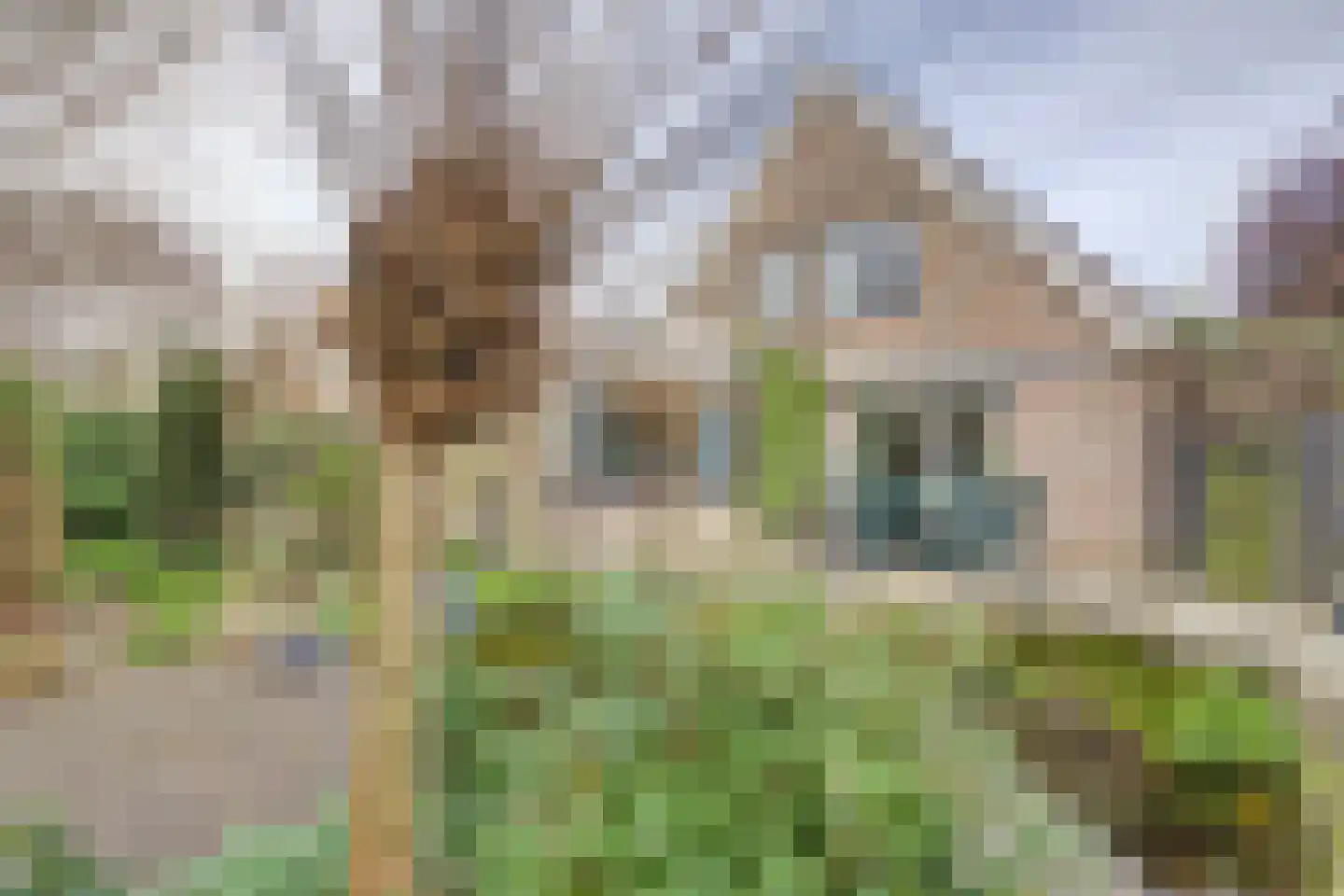Elgarstraat 26 Zwijndrecht thumbnail 39