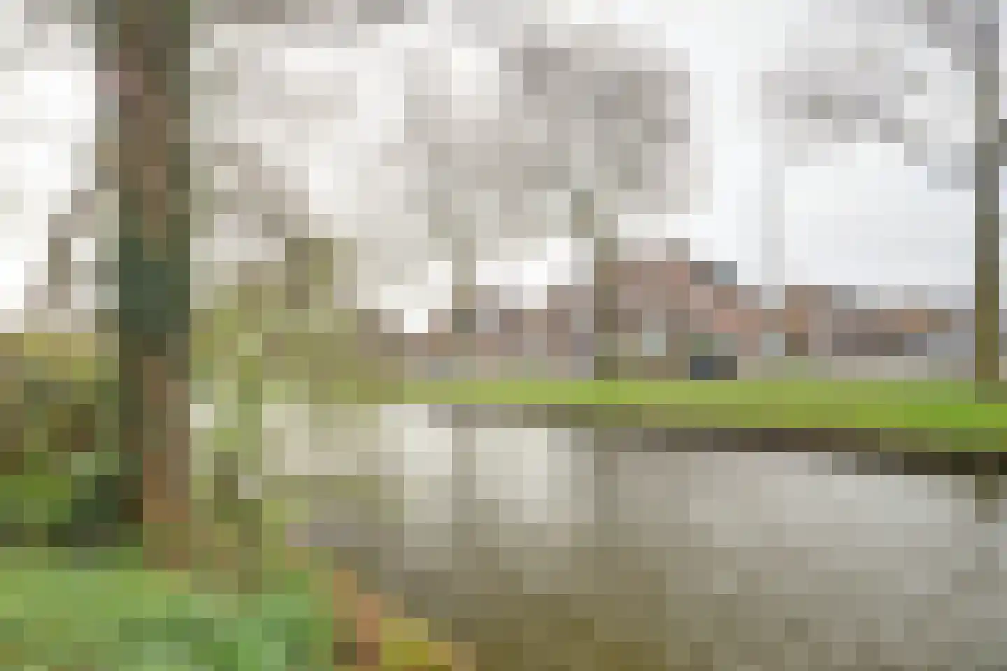 Elgarstraat 26 Zwijndrecht thumbnail 46