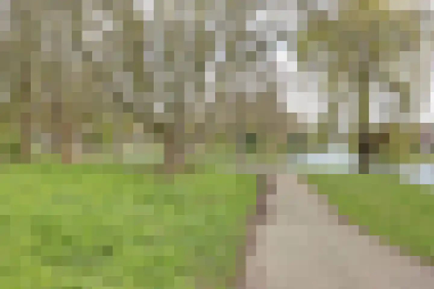 Elgarstraat 26 Zwijndrecht thumbnail 57