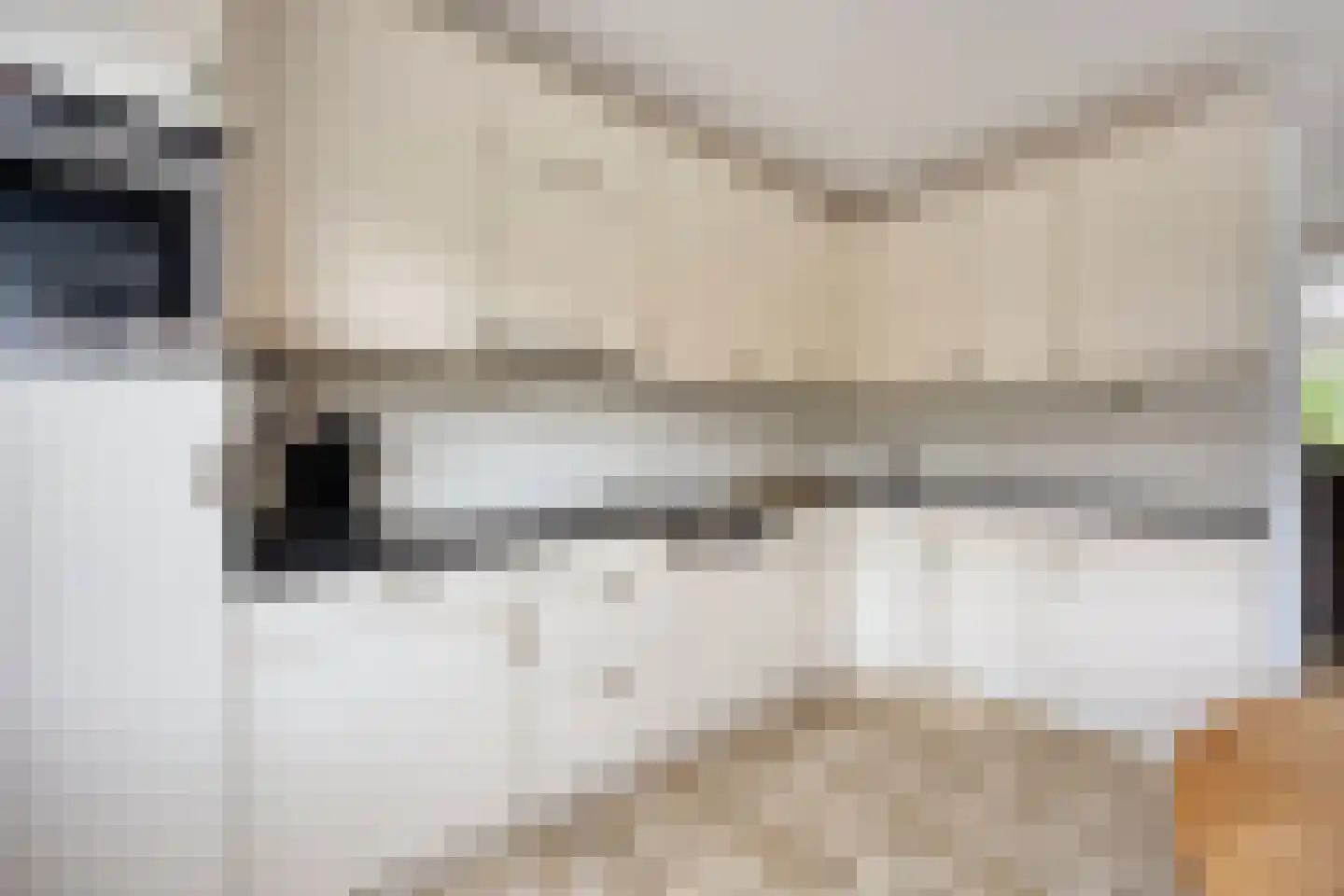 Elger 10 Monnickendam thumbnail 13