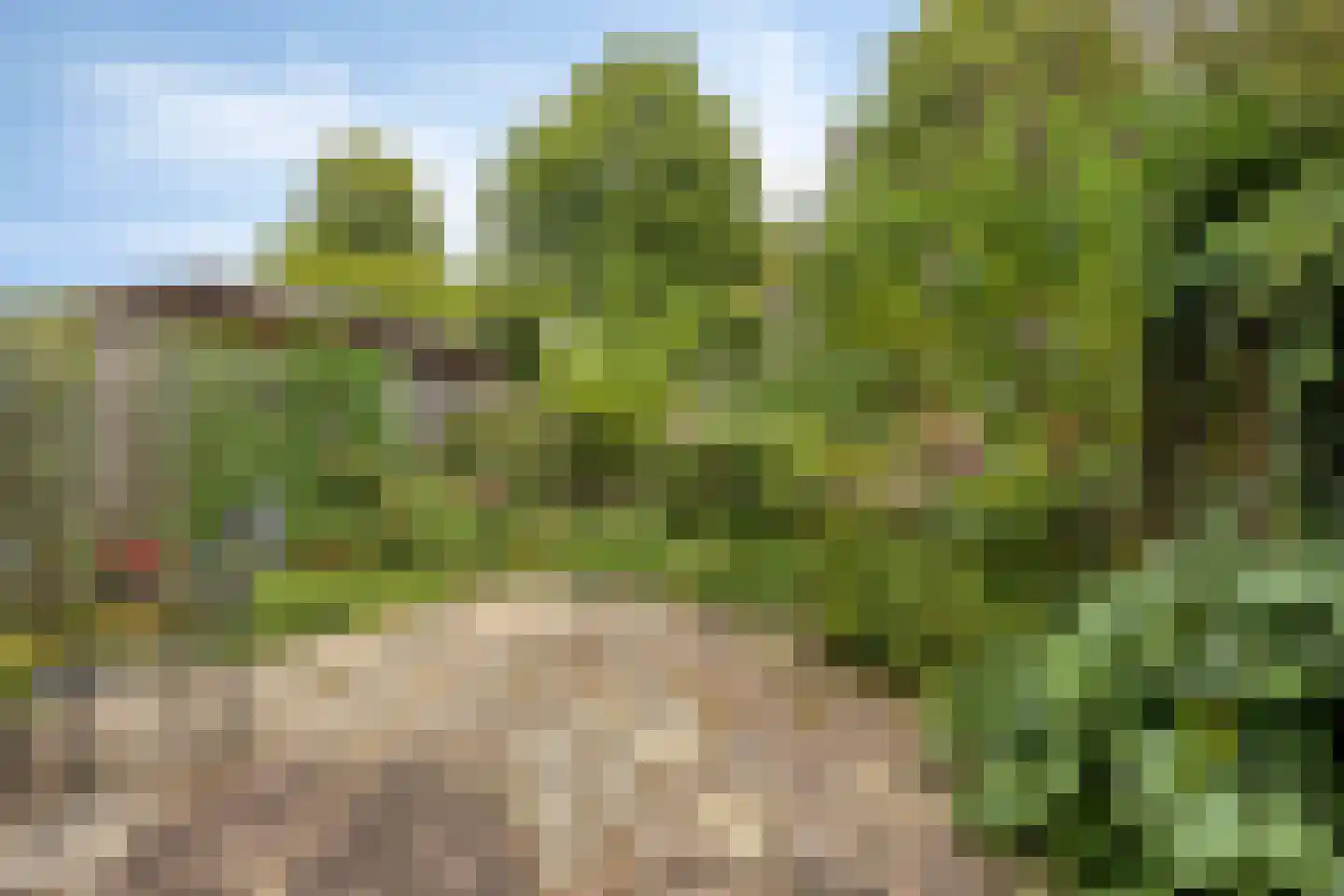 Elger 10 Monnickendam thumbnail 30