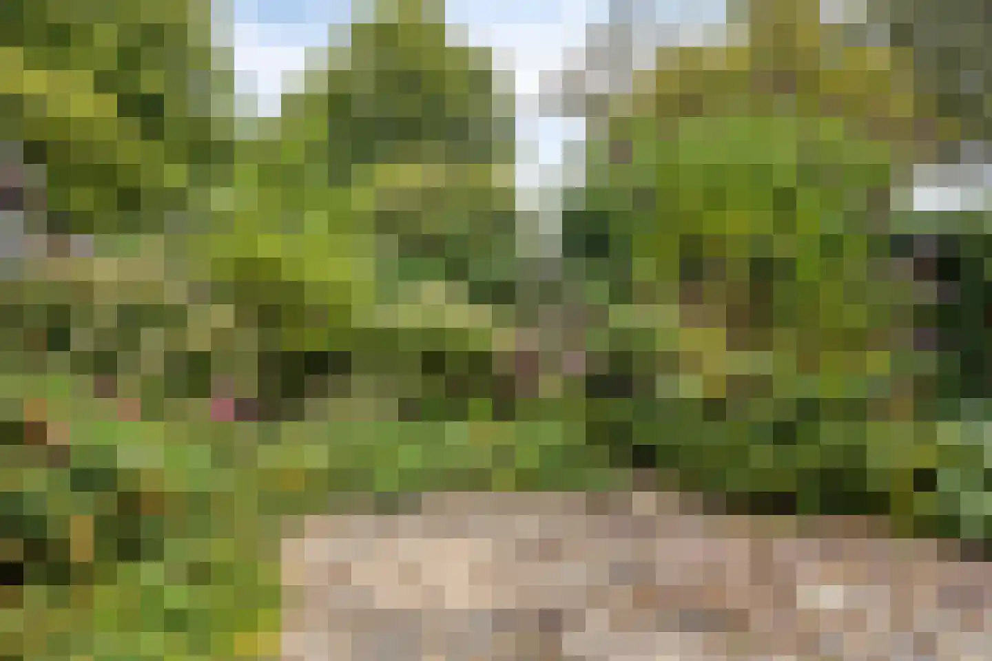 Elger 10 Monnickendam thumbnail 31