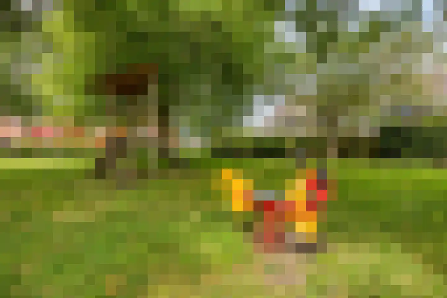 Elger 10 Monnickendam thumbnail 35