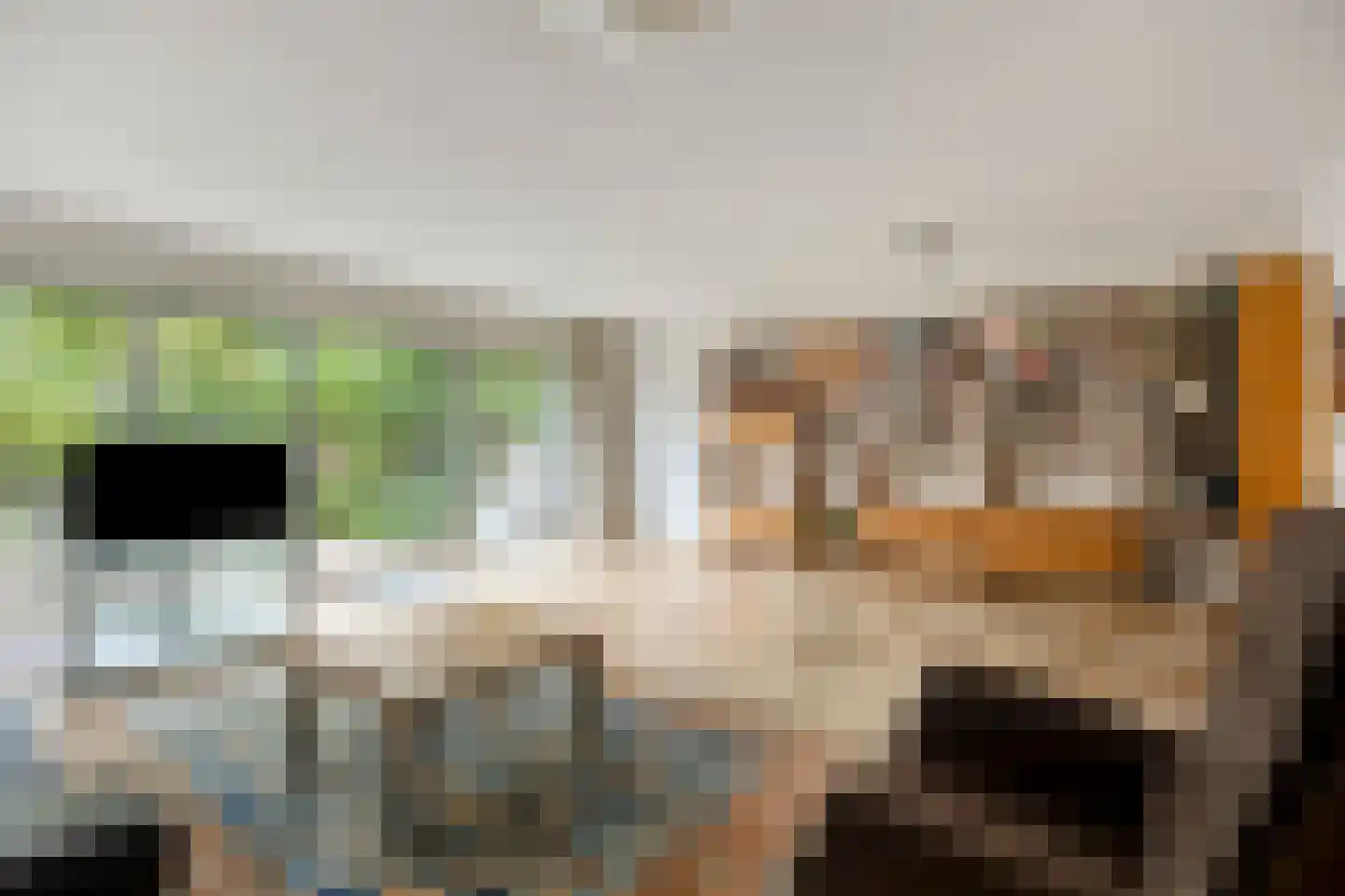 Elger 10 Monnickendam thumbnail 8
