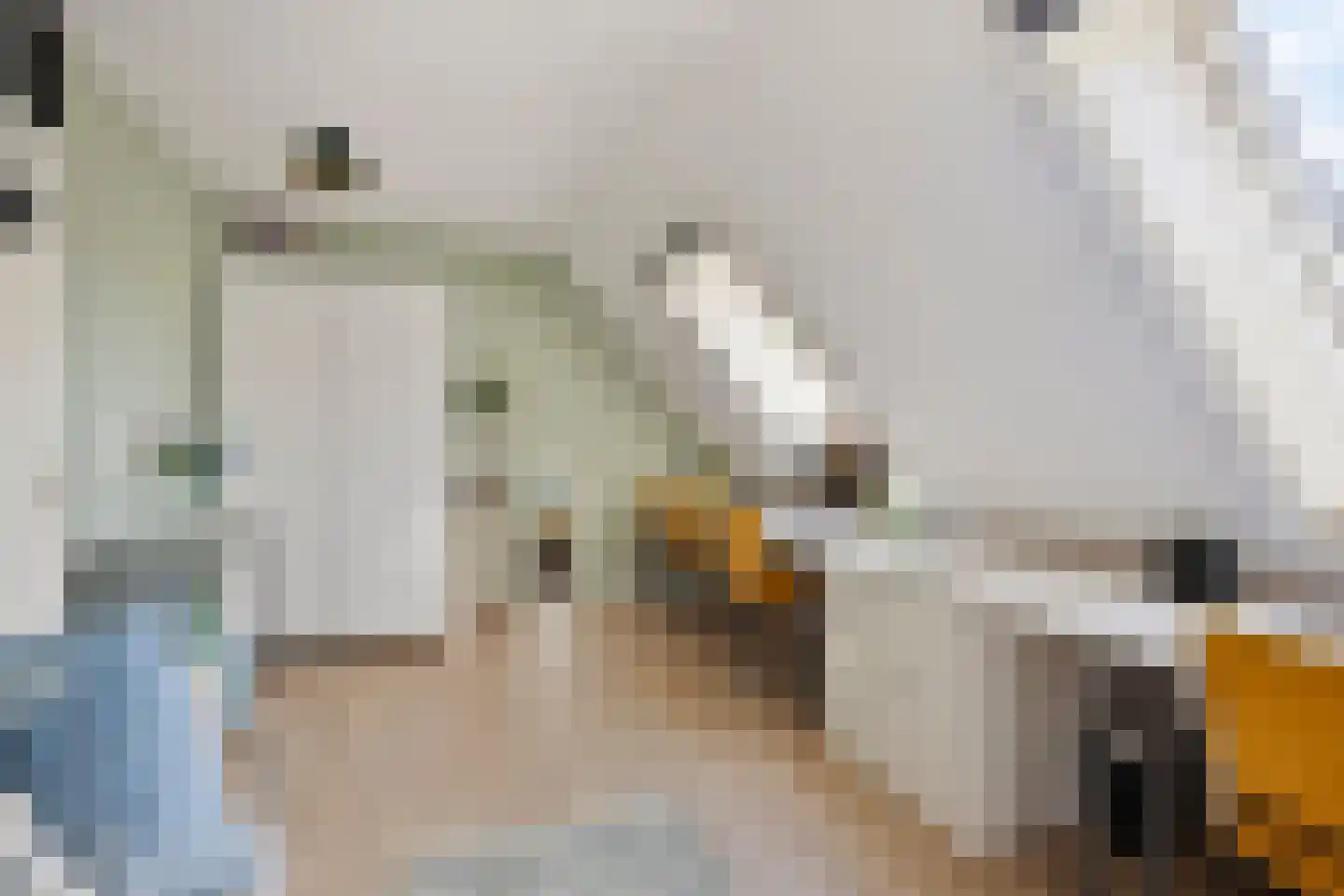 Elgerweg 1 Alkmaar thumbnail 25